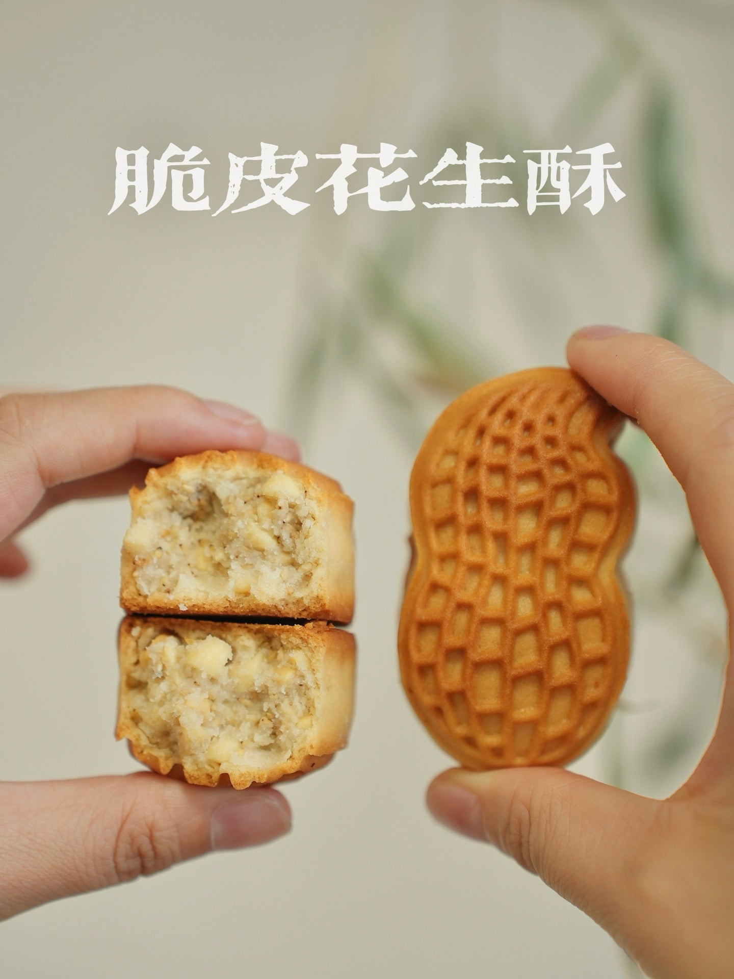 月餅デザート菓子