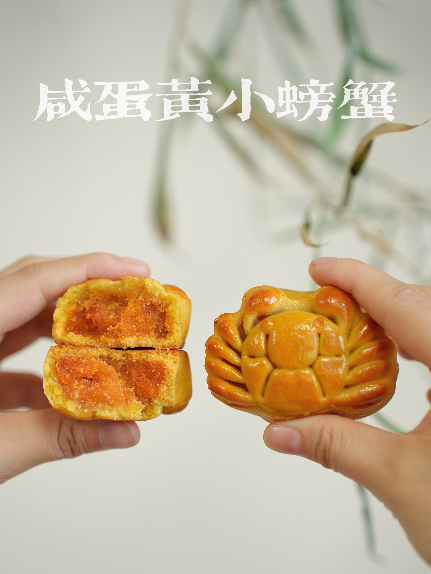 月餅デザート菓子